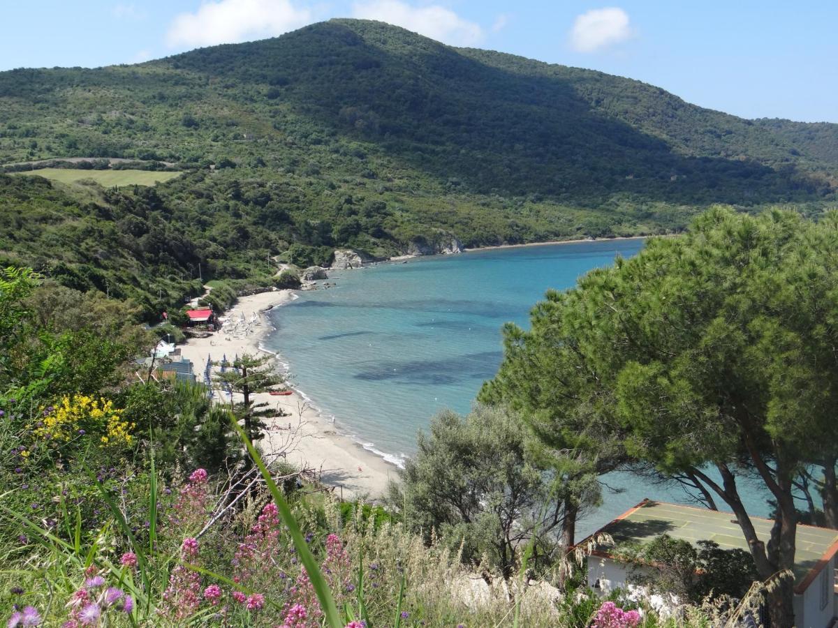 Bed and Breakfast Vecchio Saracino - Carola 1801 Agropoli Zewnętrze zdjęcie
